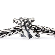 Carica l'immagine nel visualizzatore di Gallery, Agrifoglio