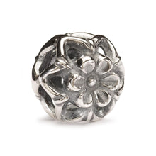 Carica l'immagine nel visualizzatore di Gallery, Fiore di zucca