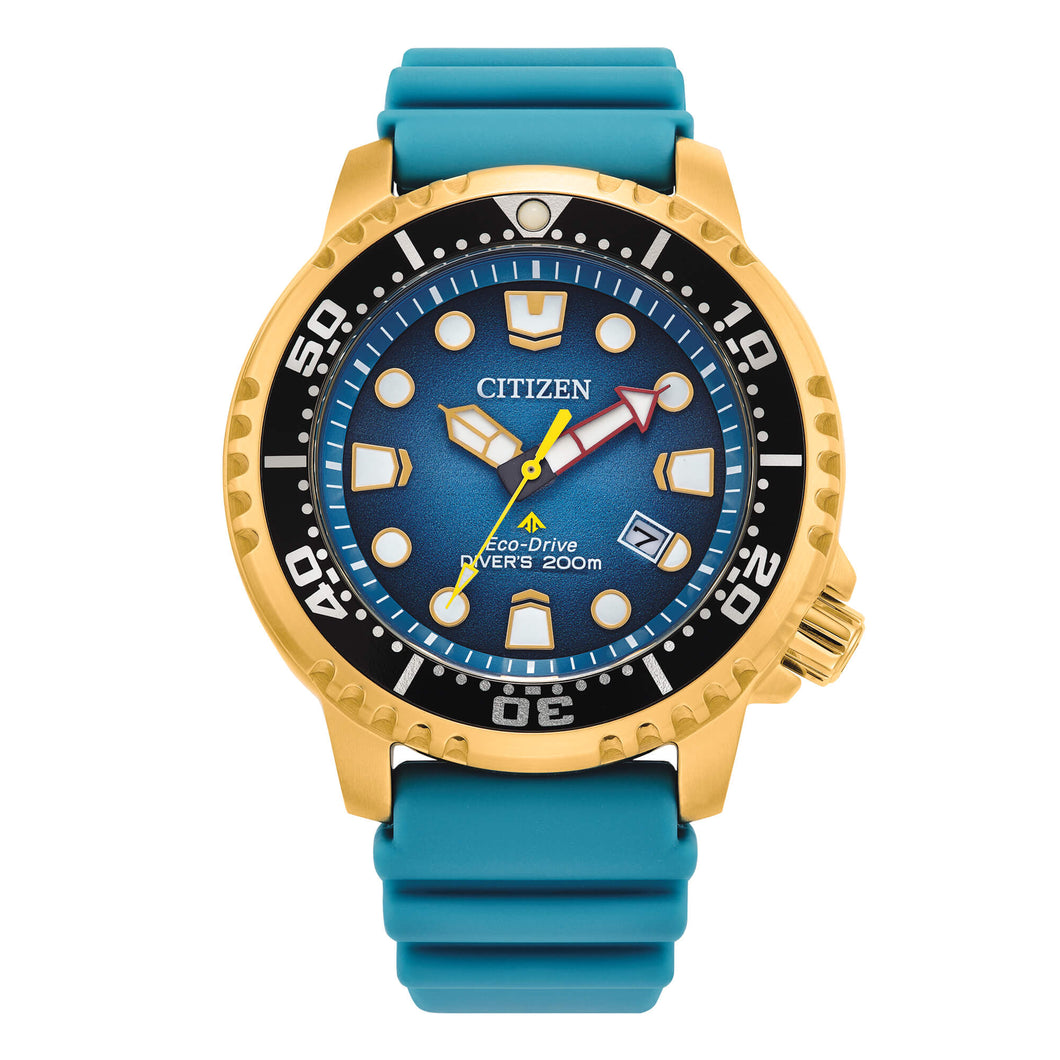 Citizen Promaster Diver's Eco Drive 200 mt BN0162-02X