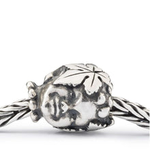 Carica l'immagine nel visualizzatore di Gallery, Bacco
