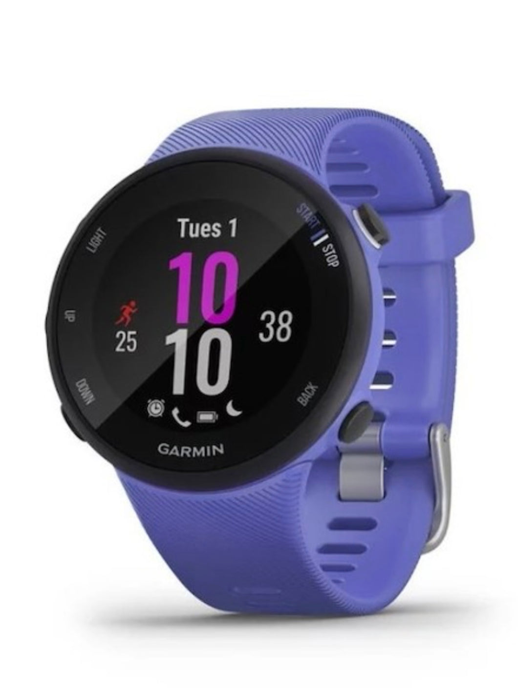 Garmin Smartwatch Forerunner 45S Iris
