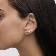 Carica l&#39;immagine nel visualizzatore di Gallery, PDPAOLA ORECCHINI RAMPICANTI RIGA AR01-C92-U
