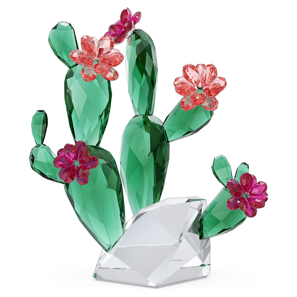 Crystal Living SWAROVSKI Cactus Rosa Deserto